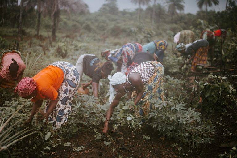 farmers