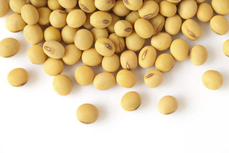Soybean