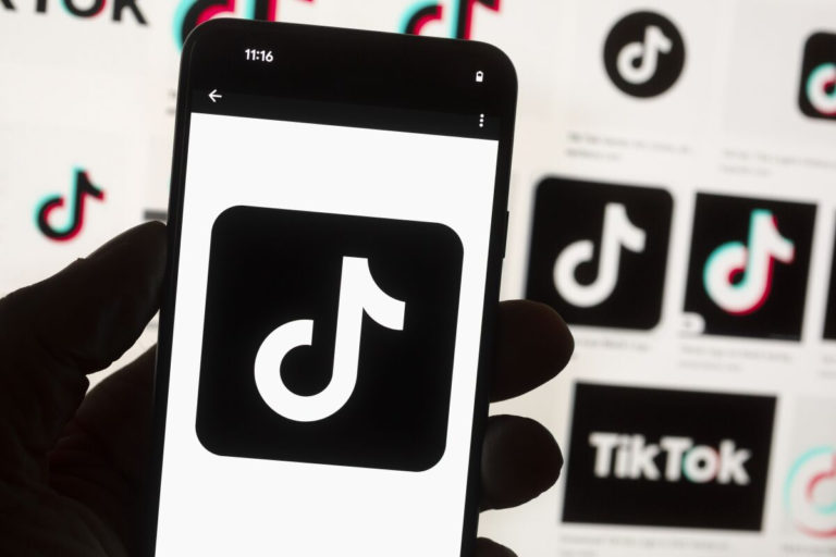 TikTok_Electorate