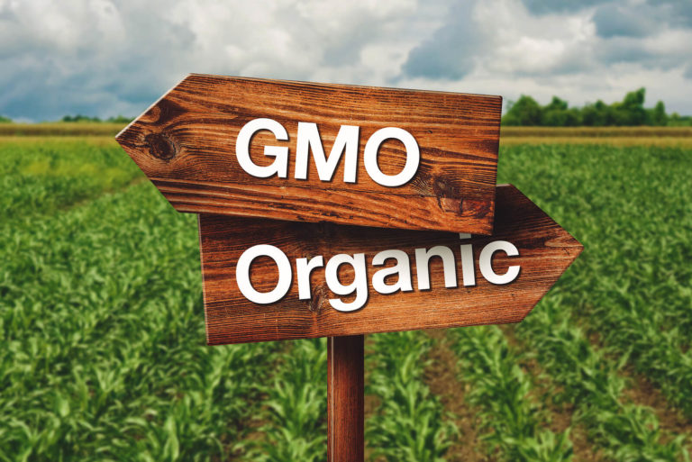 GMOvsORGANIC