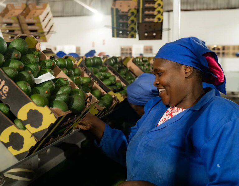 African Food Systems