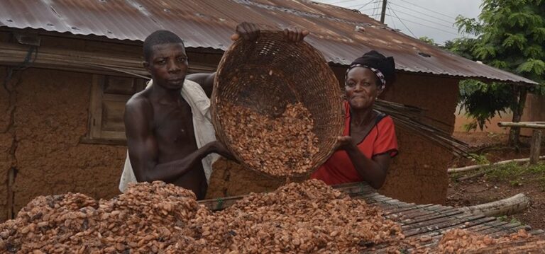 The Village Economy