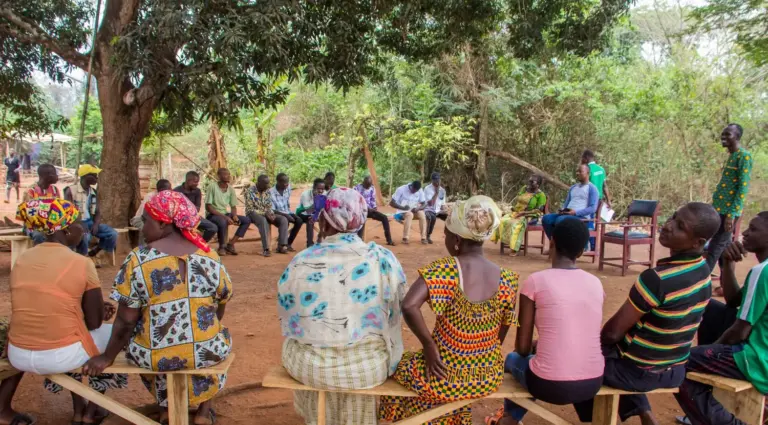 What If the Village WAS the Investor?